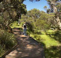 Leschenault Peninsula Conservation Park - Tweed Heads Accommodation