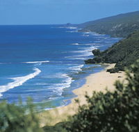 Yallingup Beach - Tweed Heads Accommodation