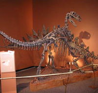 Denmark Dinosaur World - Tweed Heads Accommodation