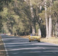 Ludlow Tuart Forest - Tweed Heads Accommodation