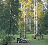 Big Brook Arboretum - Tweed Heads Accommodation