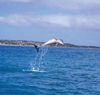Steep Point - Tweed Heads Accommodation