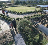 Kojonup Rose Maze - Tweed Heads Accommodation