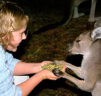 Discovery Bay's Walk on the Wild Side - Tweed Heads Accommodation