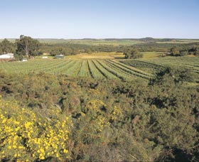 Chapman Valley Scenic Drive - Tweed Heads Accommodation 0