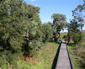 Kepwari Trails Wetland Wonderland - Tweed Heads Accommodation 0