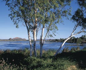 Celebrity Tree Park - Tweed Heads Accommodation 0