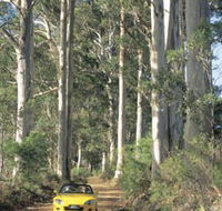 Mount Shadforth Scenic Drive - Tweed Heads Accommodation