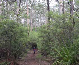  Tweed Heads Accommodation