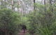 Margaret River Rails Trail - thumb 0