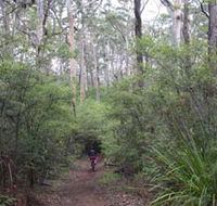 Margaret River Rails Trail - Tweed Heads Accommodation