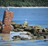 Whalers Beach - Tweed Heads Accommodation