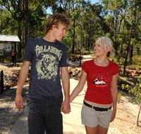 Crooked Brook Forest - Tweed Heads Accommodation