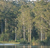 Big Brook Dam - Tweed Heads Accommodation