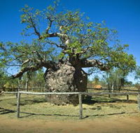 Pigeon Heritage Trail - Tweed Heads Accommodation