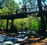 Barrabup Pool - Tweed Heads Accommodation