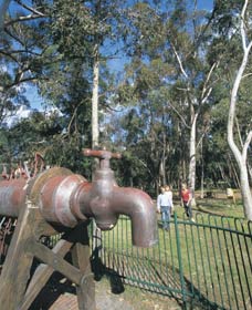 Mundaring Community Sculpture Park - Tweed Heads Accommodation 0