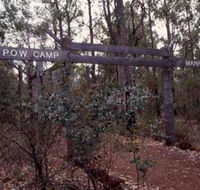 Marrinup Trail Dwellingup - Tweed Heads Accommodation