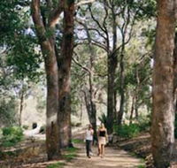 Law Trail and Lotterywest Federation Walkway Kings Park - Tweed Heads Accommodation