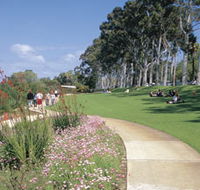 Kings Park Free Guided Walks - Tweed Heads Accommodation
