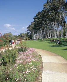 Kings Park Free Guided Walks - Tweed Heads Accommodation 0