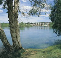 Bandicoot Bar - Tweed Heads Accommodation