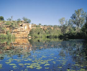 Manning Gorge - Tweed Heads Accommodation 0