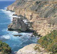 Island Rock and Natural Bridge - Tweed Heads Accommodation