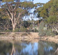 Merredin Railway Dam - Tweed Heads Accommodation