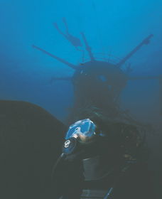 Swan Dive Wreck - Tweed Heads Accommodation 0