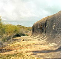 Totadgin Dam Reserve - Tweed Heads Accommodation