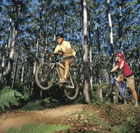 Leeuwin-Naturaliste National Park - Cowaramup - Tweed Heads Accommodation