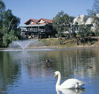 White Swans - Tweed Heads Accommodation