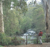 Cascades - Tweed Heads Accommodation