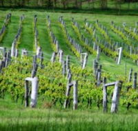 Sienna Estate Winery - Tweed Heads Accommodation