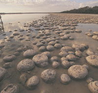 Yalgorup National Park - Tweed Heads Accommodation