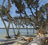 Stokes National Park - Tweed Heads Accommodation