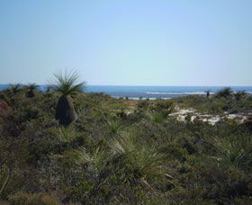 Lesueur National Park - Tweed Heads Accommodation 0