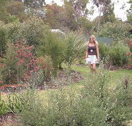 The Mythic Mazes - Tweed Heads Accommodation