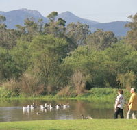 Porongurup National Park - Tweed Heads Accommodation