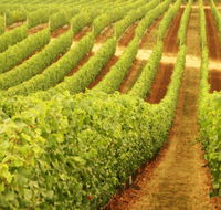 Xanadu Wines - Tweed Heads Accommodation