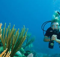 Coastal Water Dive - Tweed Heads Accommodation