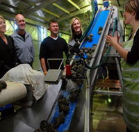 Eyre Peninsula's Seafood Trail - Tweed Heads Accommodation