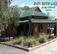 Rain Moth Gallery - Tweed Heads Accommodation