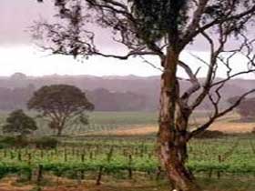  Tweed Heads Accommodation