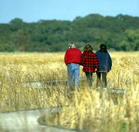 Onkaparinga River Recreation Park - Tweed Heads Accommodation