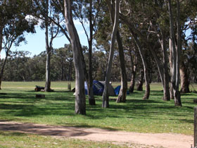 Spence SA Tweed Heads Accommodation