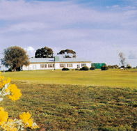 Lucindale Country Club - Tweed Heads Accommodation