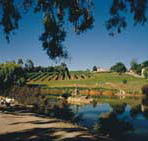 Mount Hurtle Winery home of Geoff Merrill Wines - Tweed Heads Accommodation
