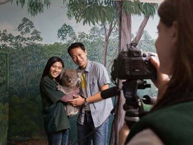 Cleland Wildlife Park - Tweed Heads Accommodation 0